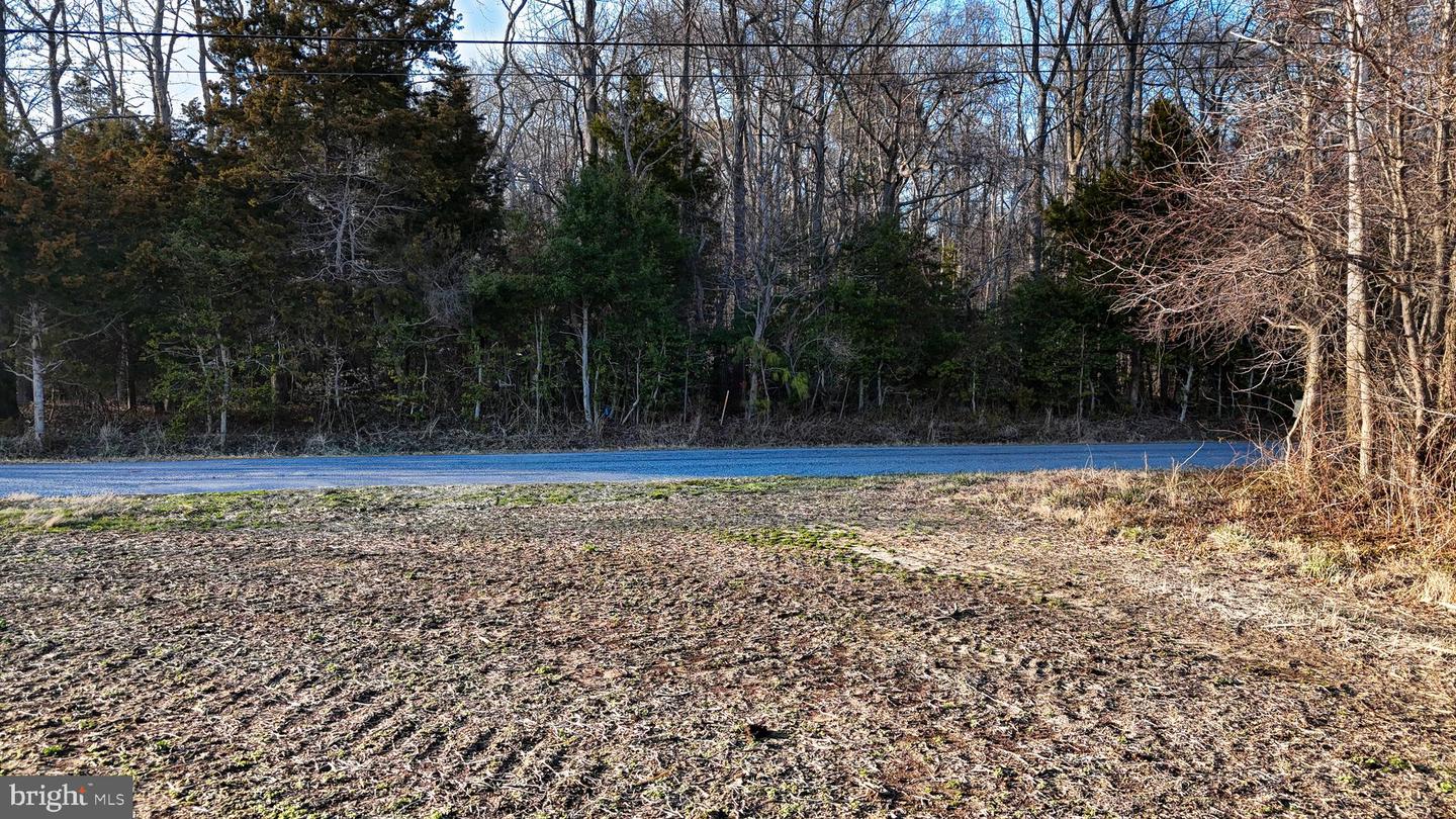 989 Pickering Beach Rd Property Photo 4