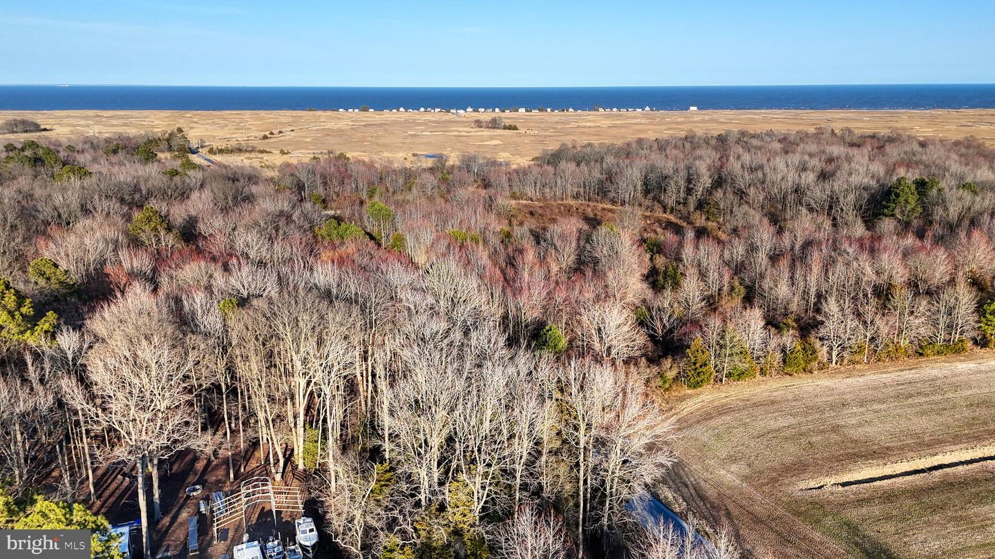 989 Pickering Beach Rd Property Photo 13