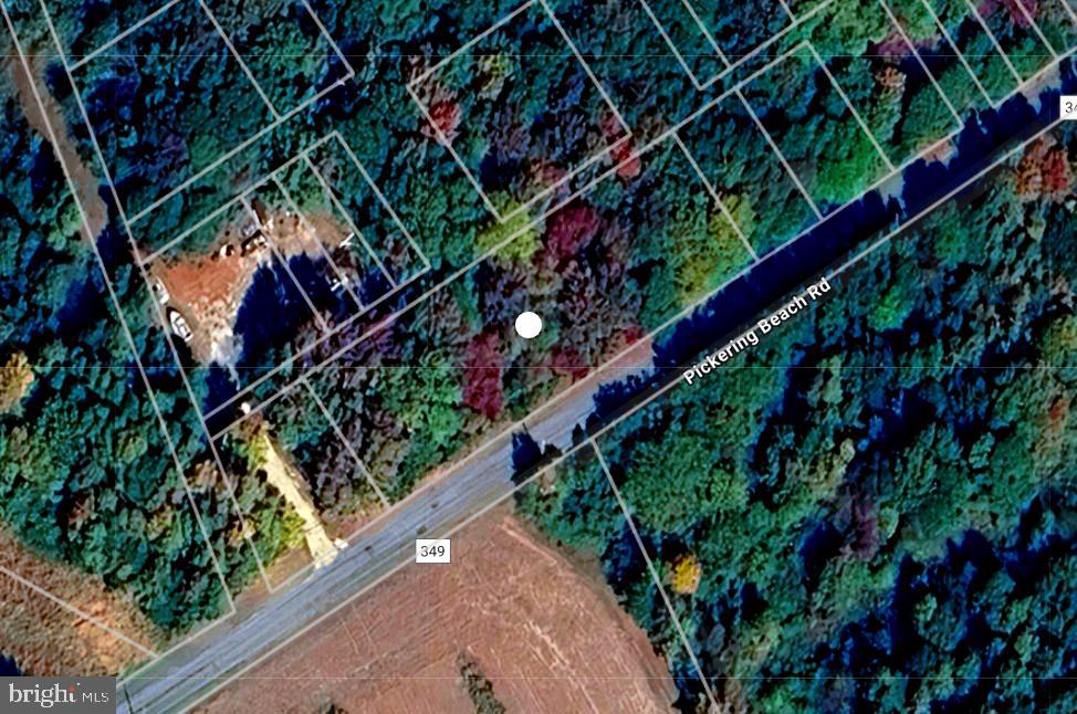 989 Pickering Beach Rd Property Photo 14