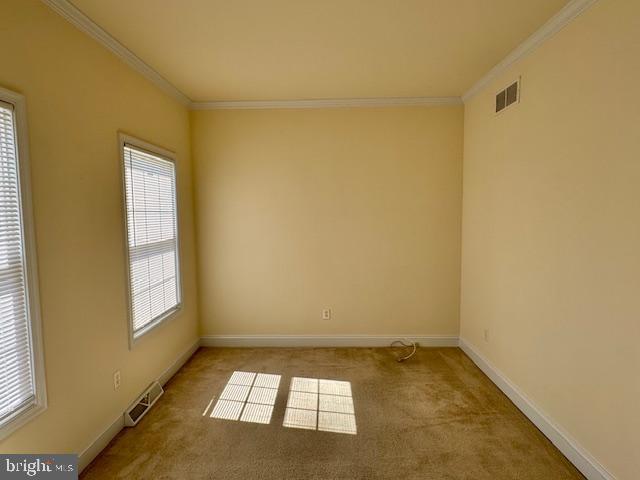 228 Tullamore Rd Property Photo 8