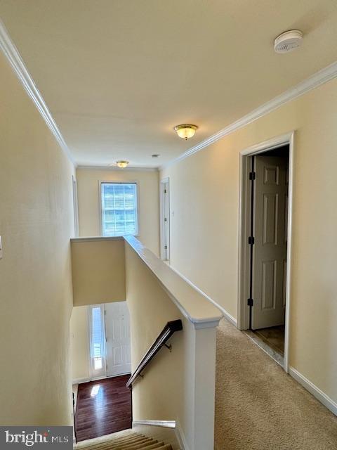 228 Tullamore Rd Property Photo 18