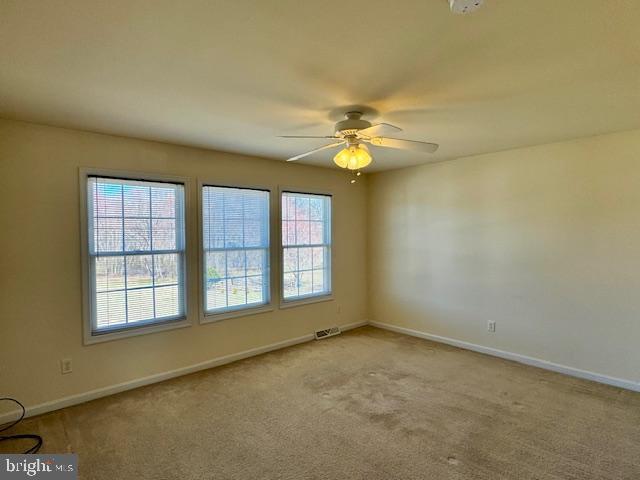 228 Tullamore Rd Property Photo 20