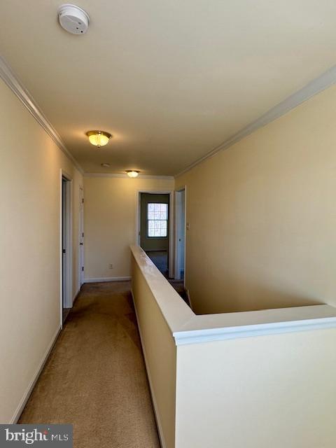 228 Tullamore Rd Property Photo 25