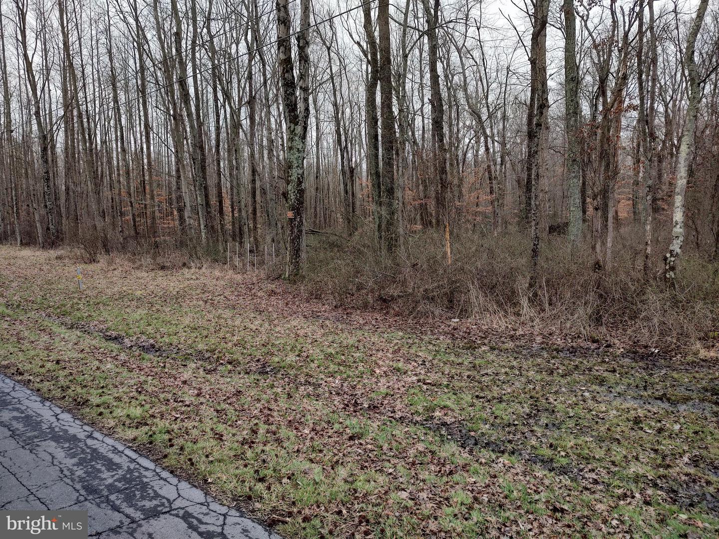 Lot 1 Underwoods Corner Rd Property Photo 1