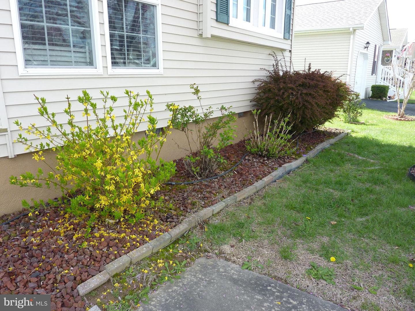 809 Stella St #125 Property Photo 41