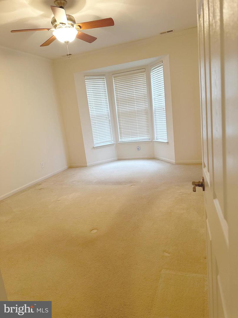 125 Lady Bug Dr Property Photo 6