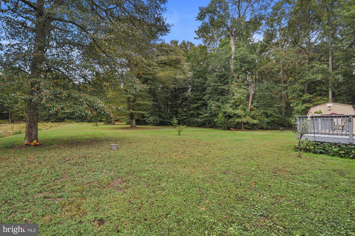 1210 Hollering Hill Rd Property Photo 8