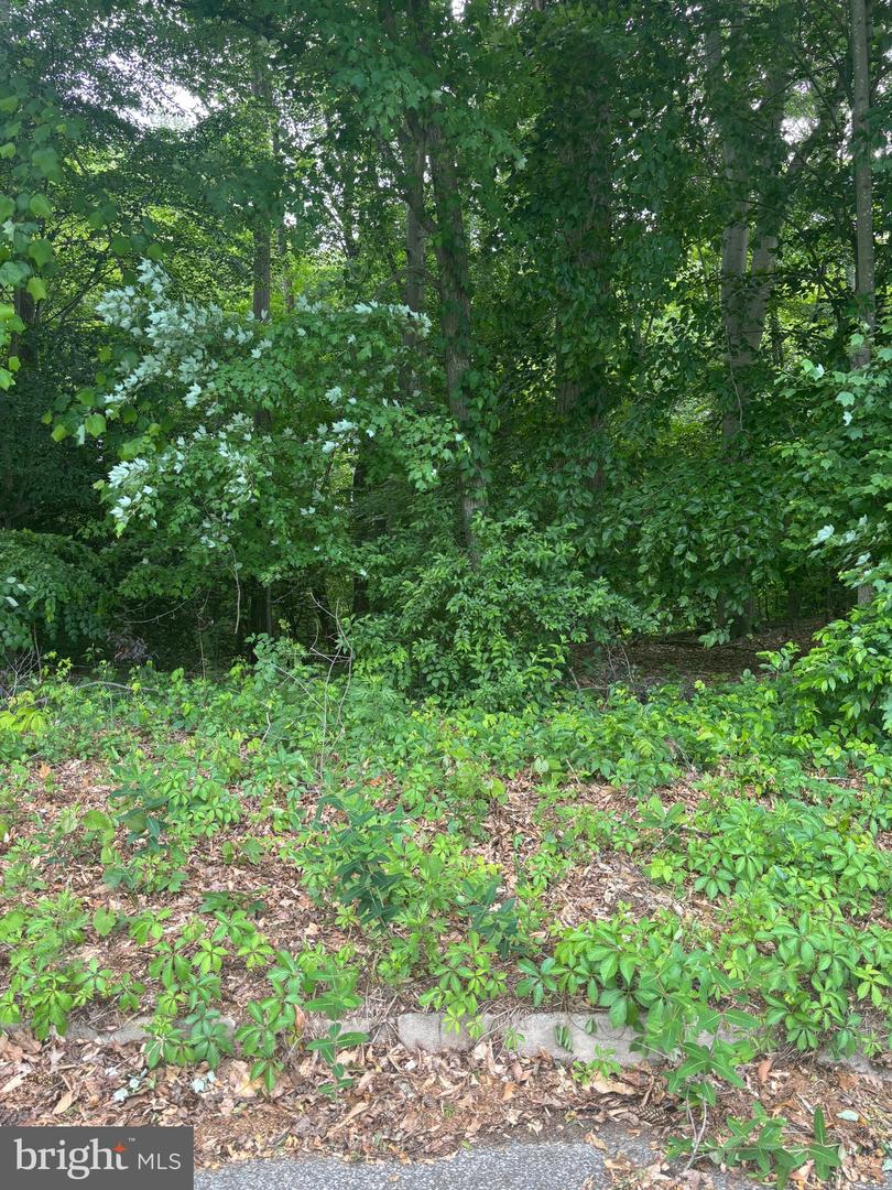0 Pratts Branch Rd #lot 28 Property Photo