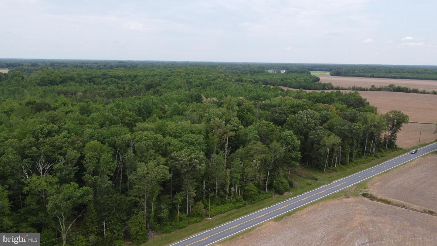 Lot 3 Cedar Grove Church Rd Property Photo 2