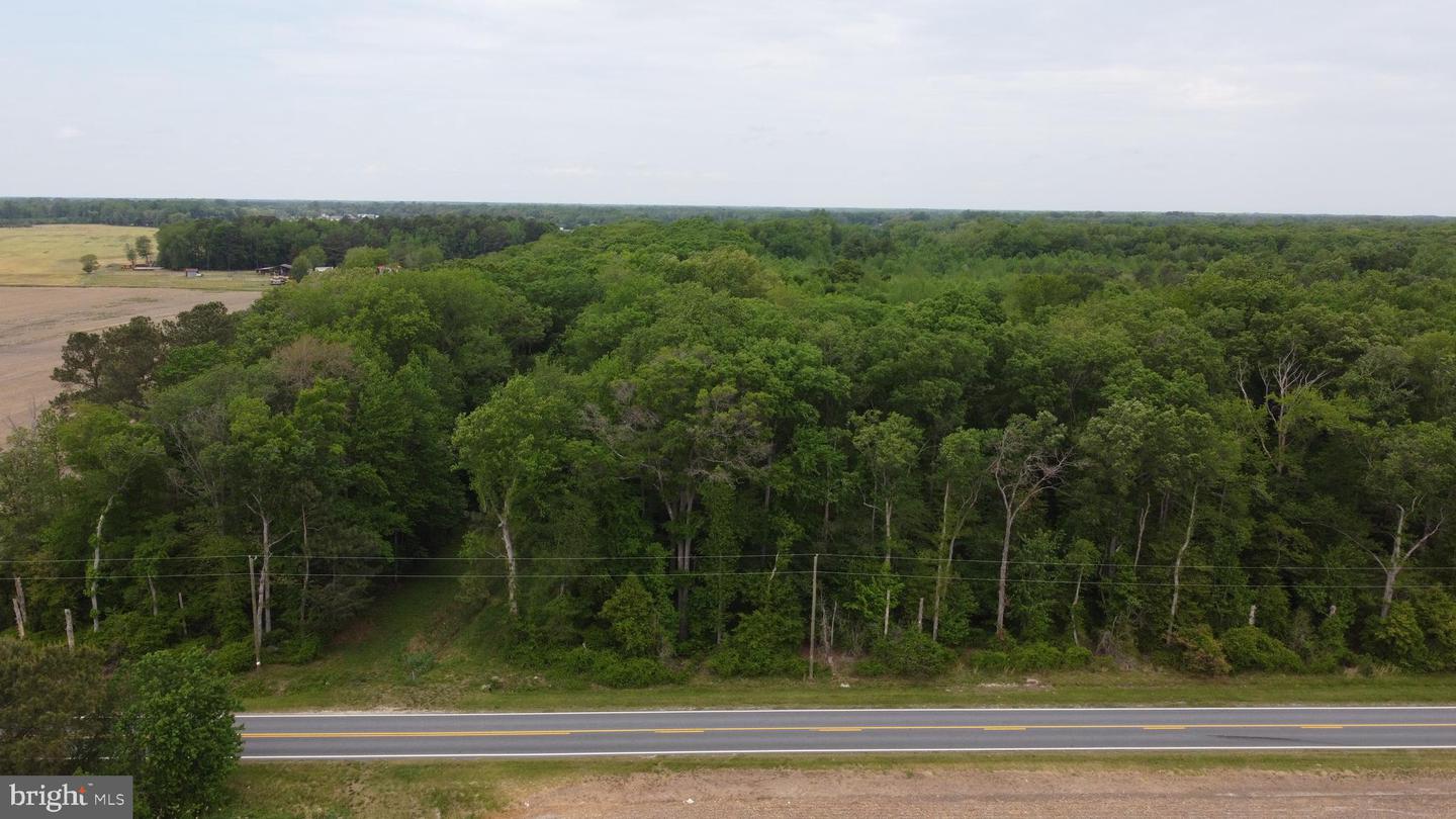 Lot 3 Cedar Grove Church Rd Property Photo 3