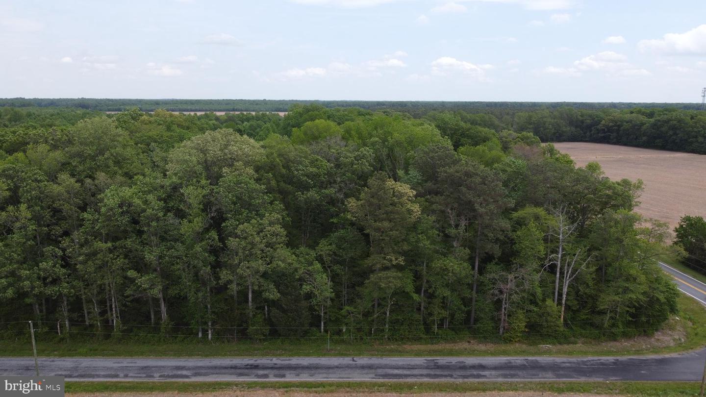 Lot 3 Cedar Grove Church Rd Property Photo 6