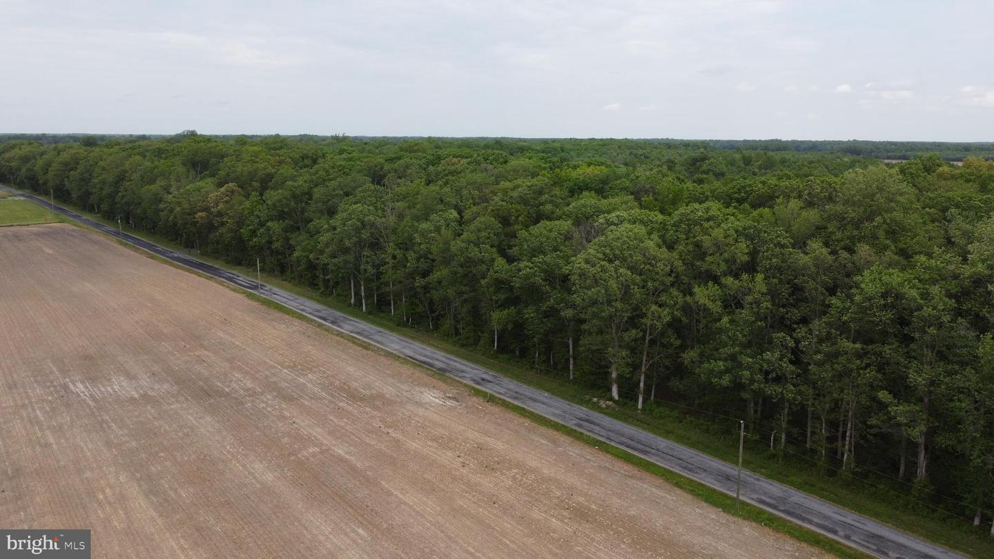 Lot 2b Cedar Grove Church Rd Property Photo 5