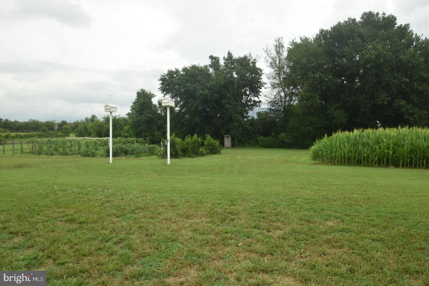 263 Smoky Ln Property Photo 50