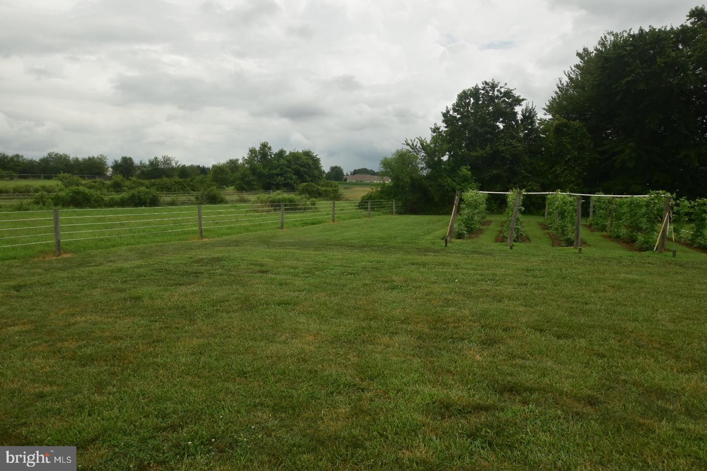 263 Smoky Ln Property Photo 54