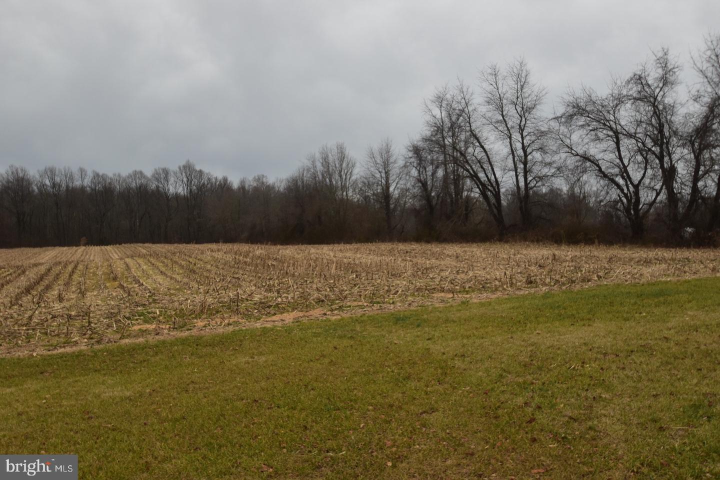 263 Smoky Ln Property Photo 58