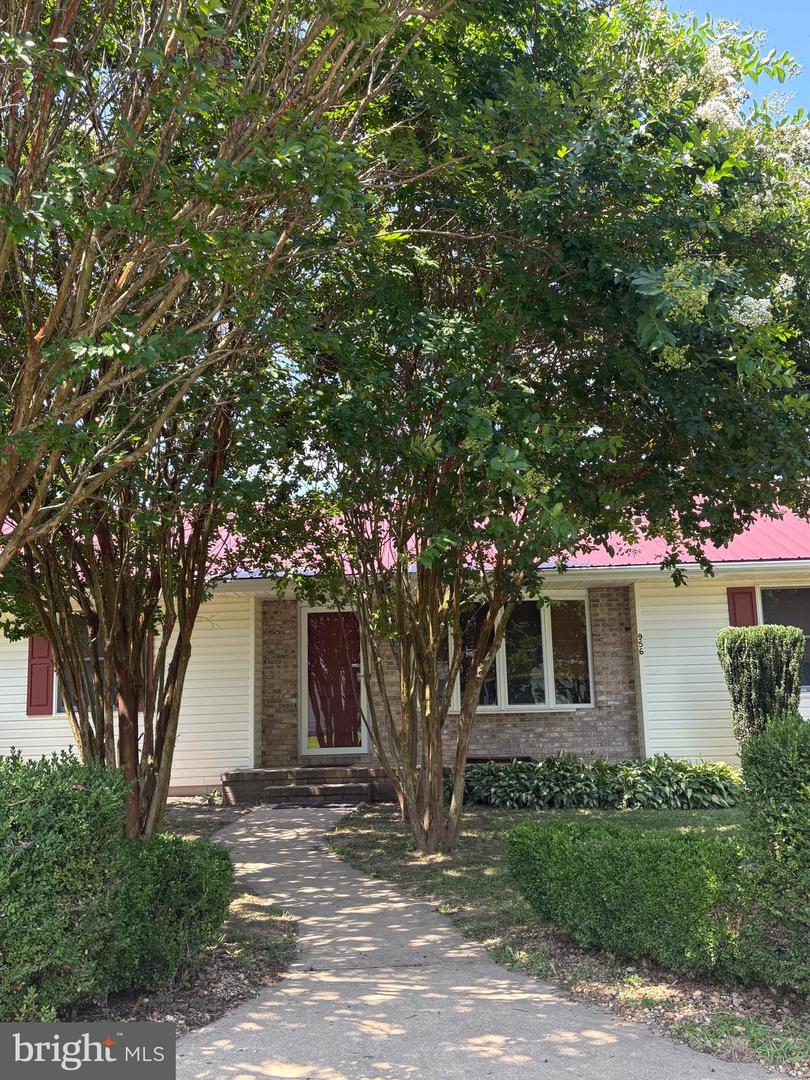 956 Janeka Ln Property Photo 4