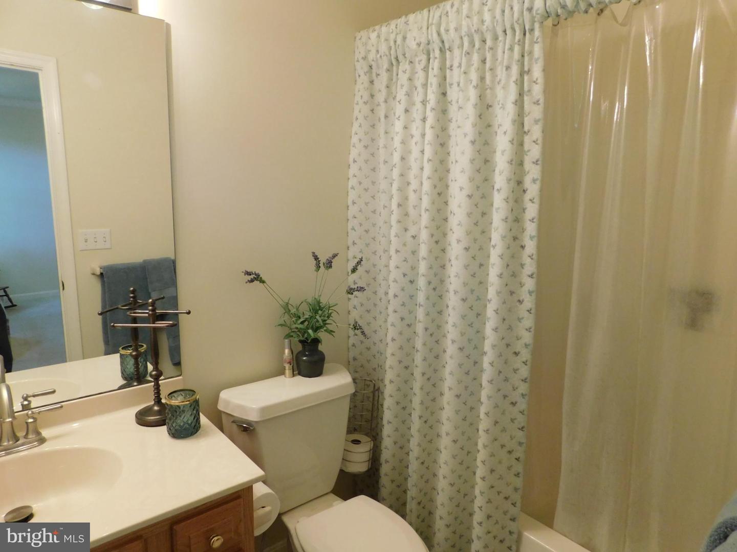 28 Baltray Property Photo 56