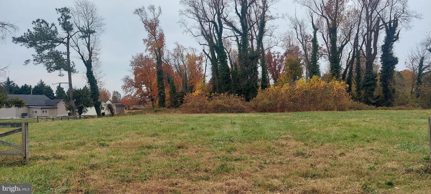 0 Jefferson Property Photo 18