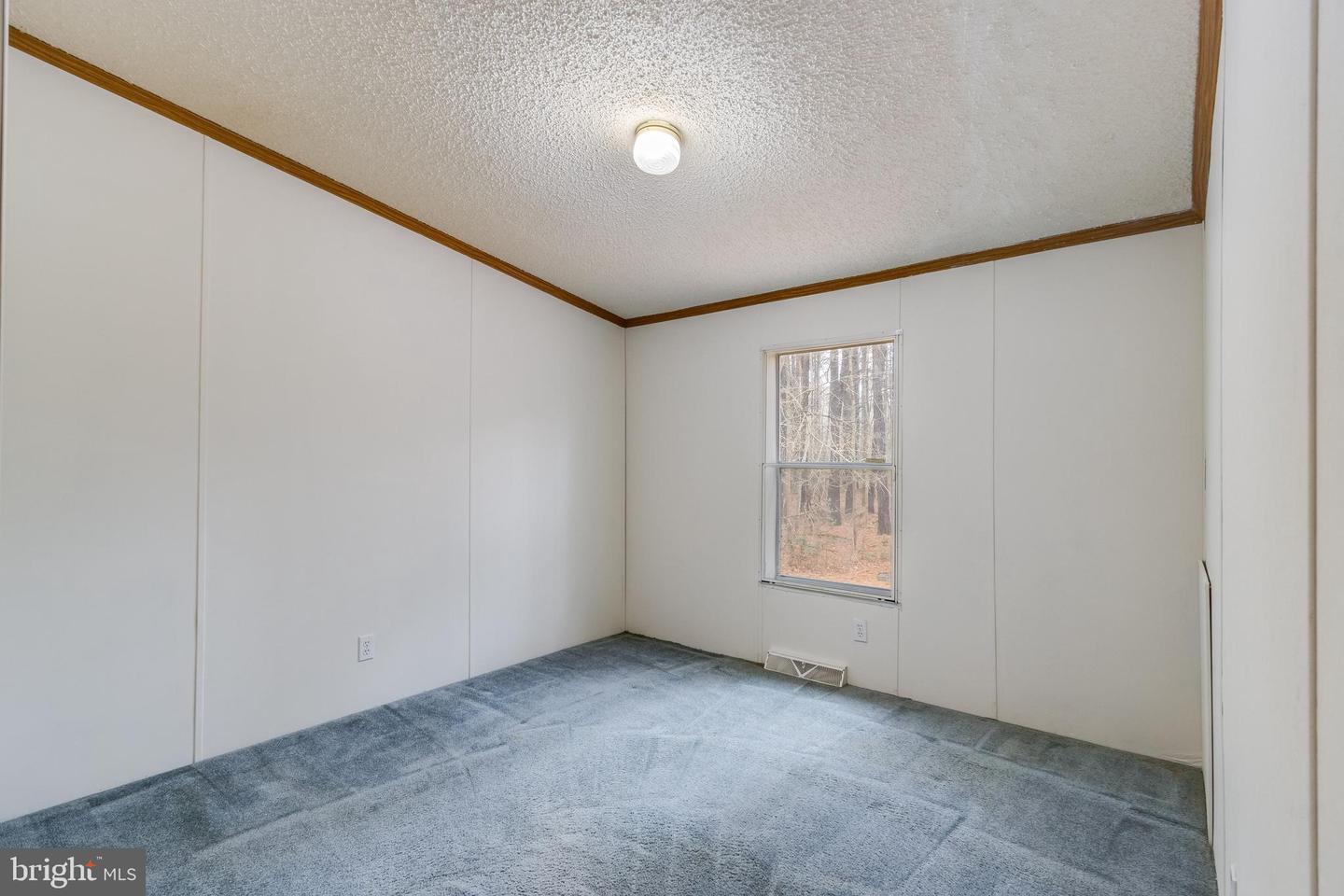 2578 Williamsville Rd Property Photo 24