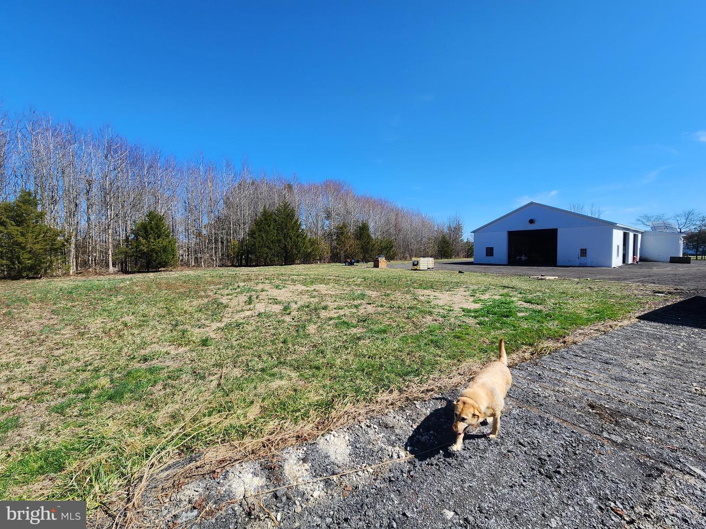 1337 Tower Rd Property Photo 11