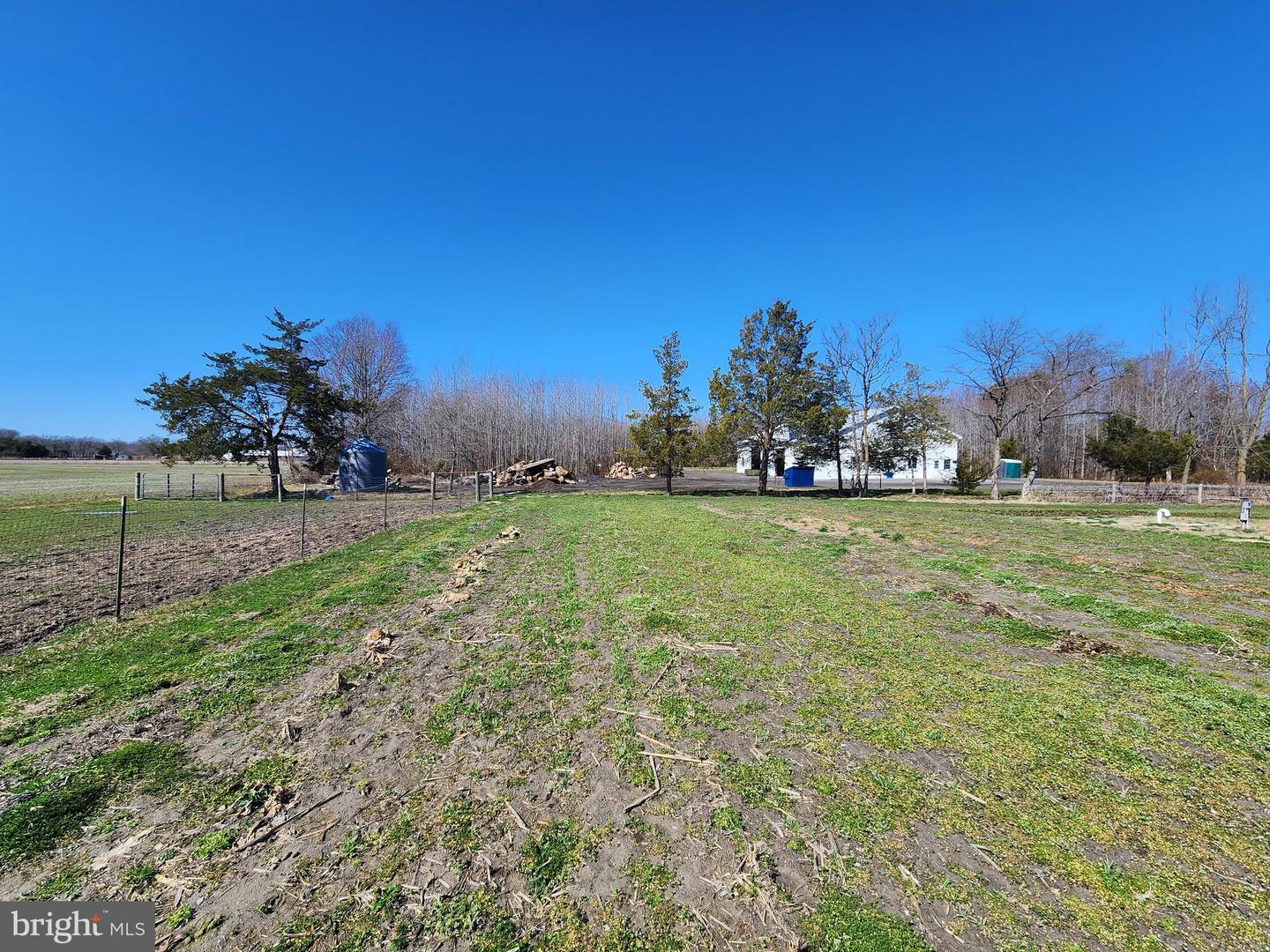 1337 Tower Rd Property Photo 18