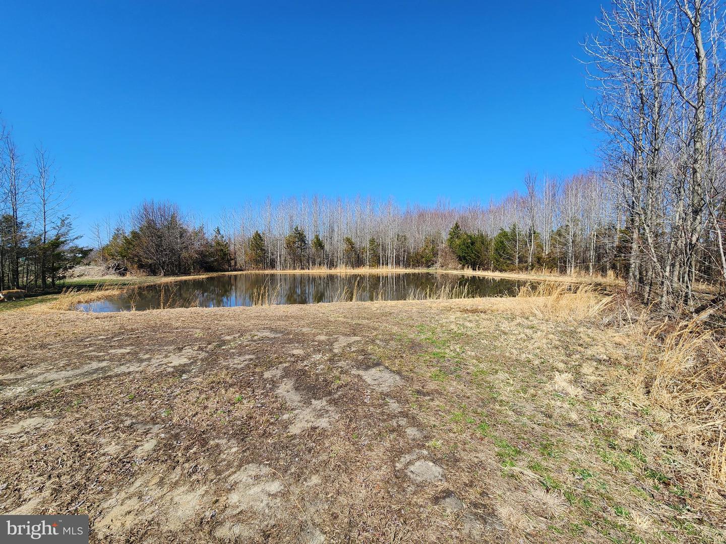 1337 Tower Rd Property Photo 20