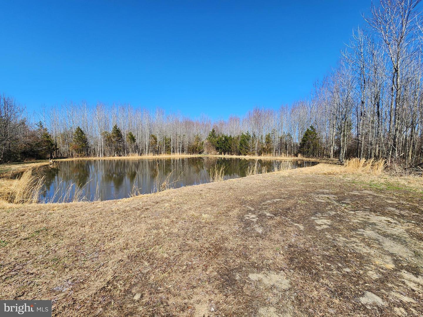 1337 Tower Rd Property Photo 21