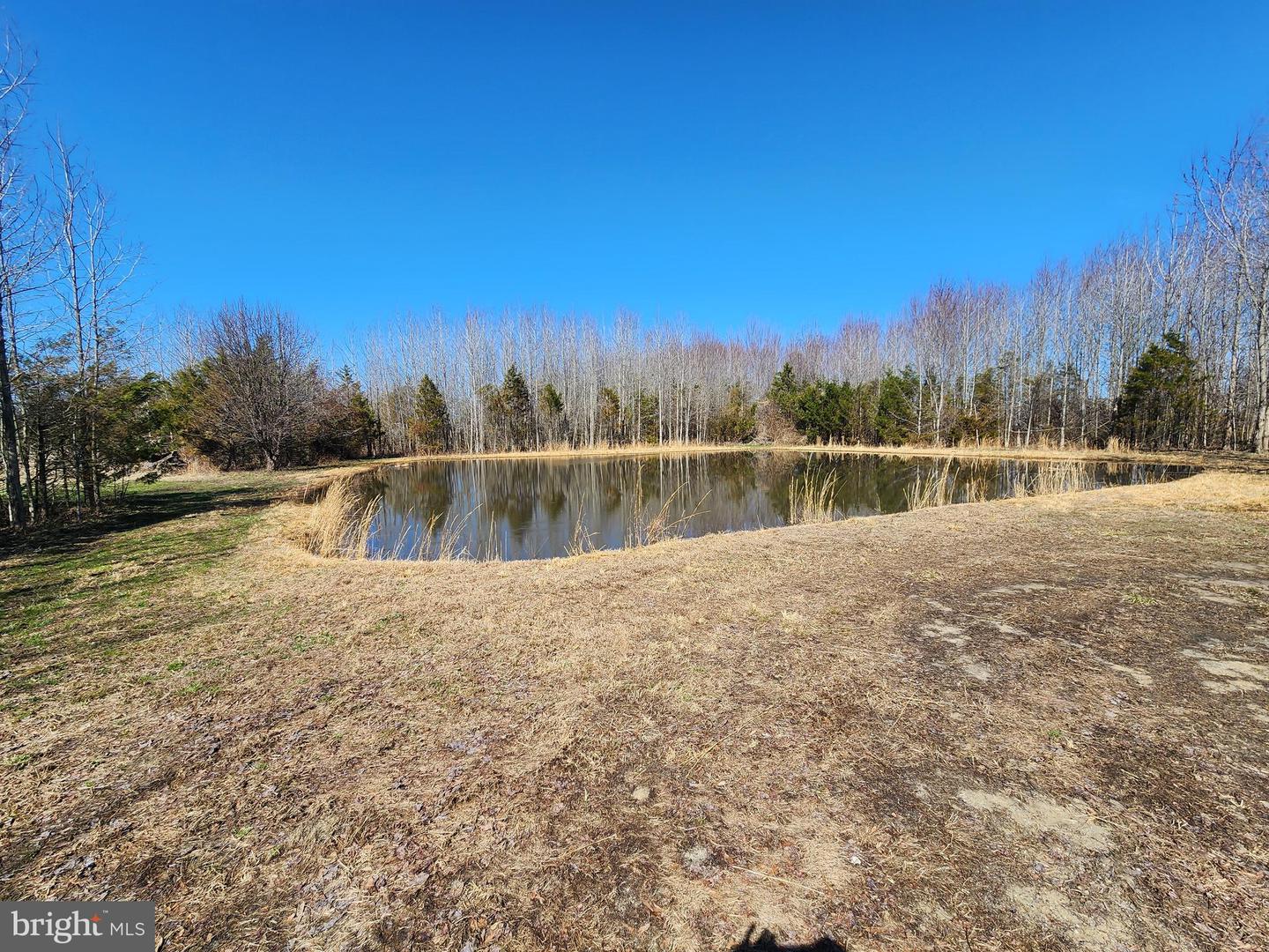 1337 Tower Rd Property Photo 22