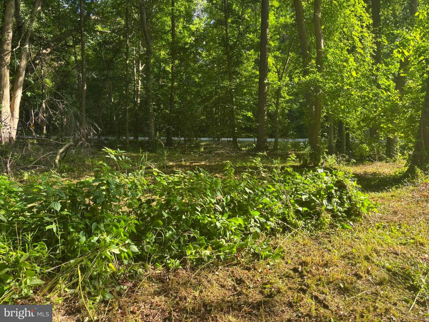 0 Misty Way Property Photo 1