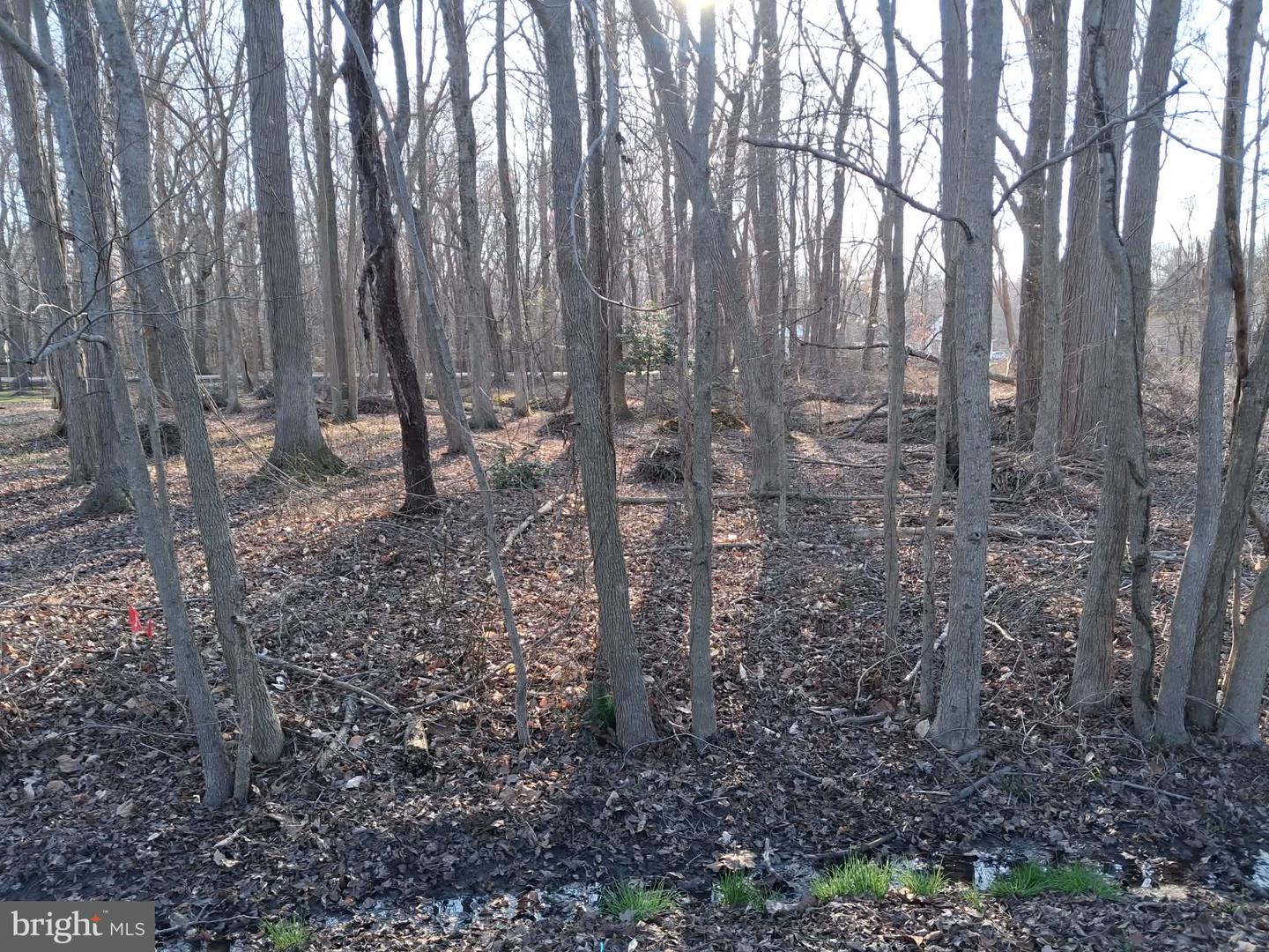0 Misty Way Property Photo 9