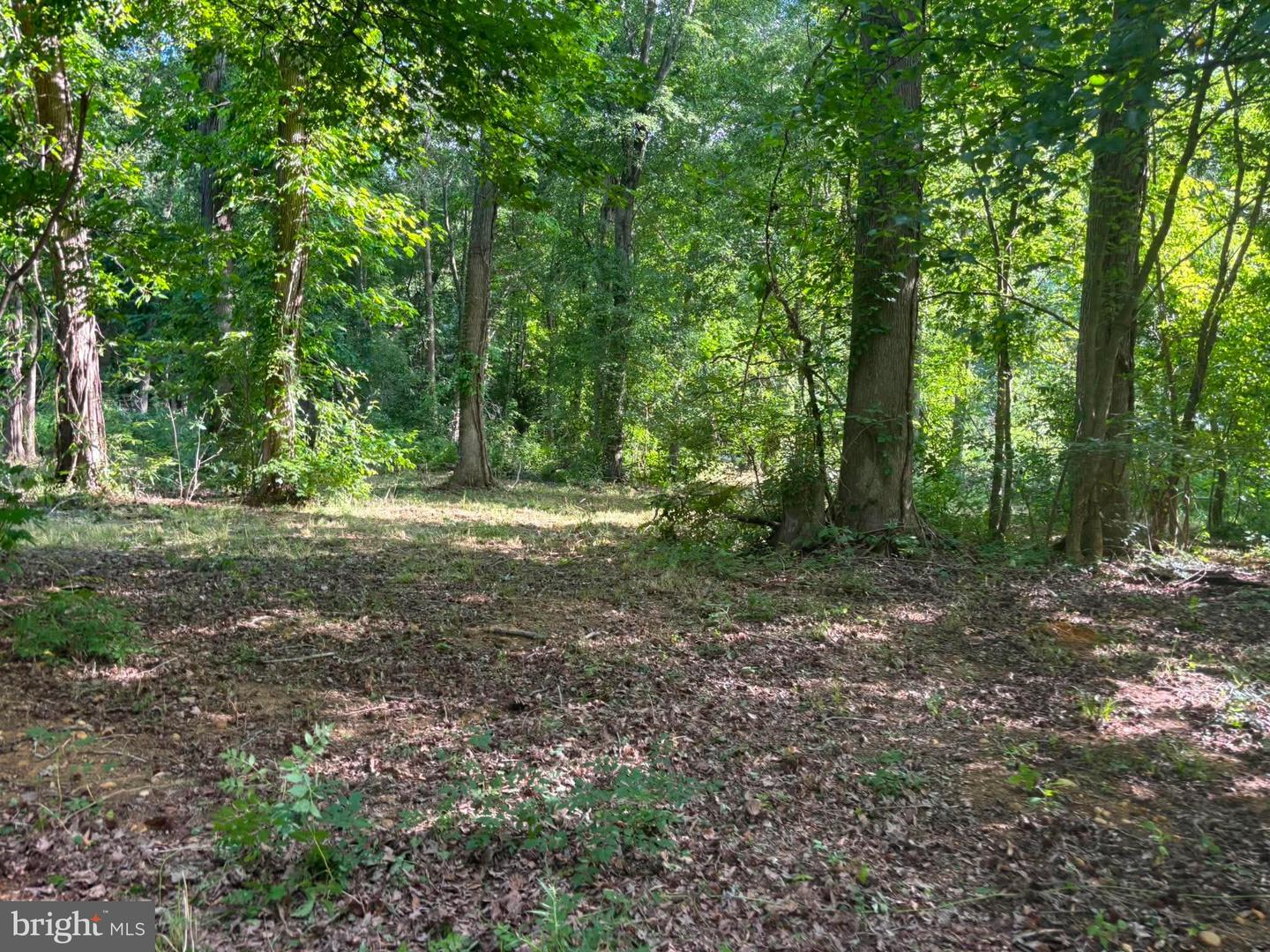 0 Misty Way Property Photo 11
