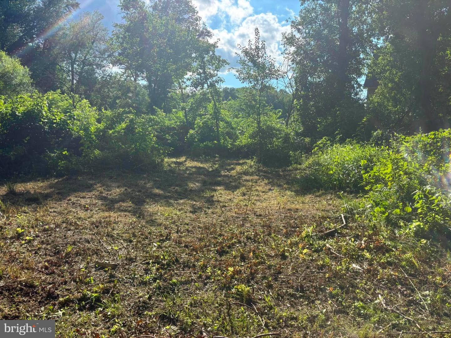 0 Misty Way Property Photo 13
