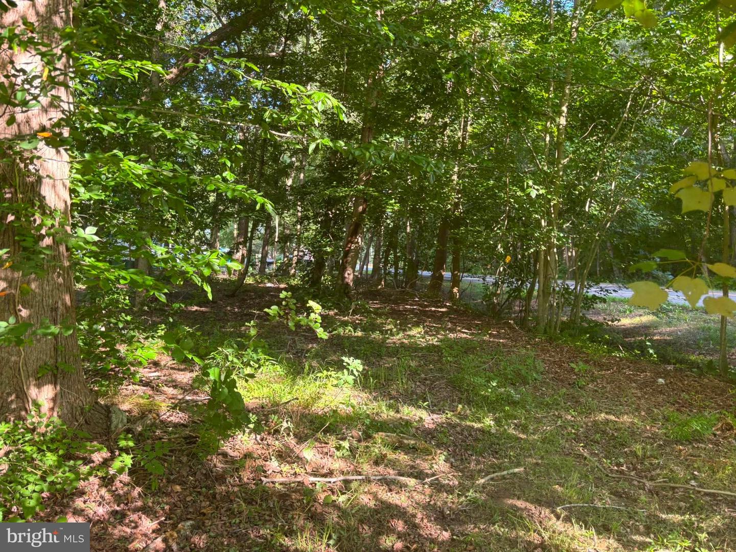 0 Misty Way Property Photo 15