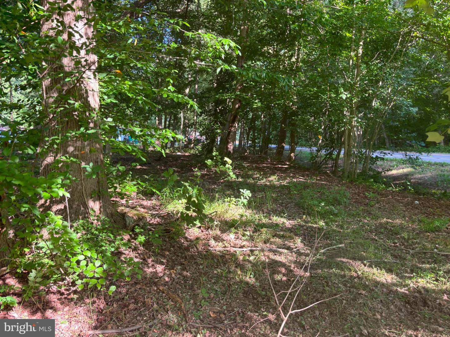0 Misty Way Property Photo 16