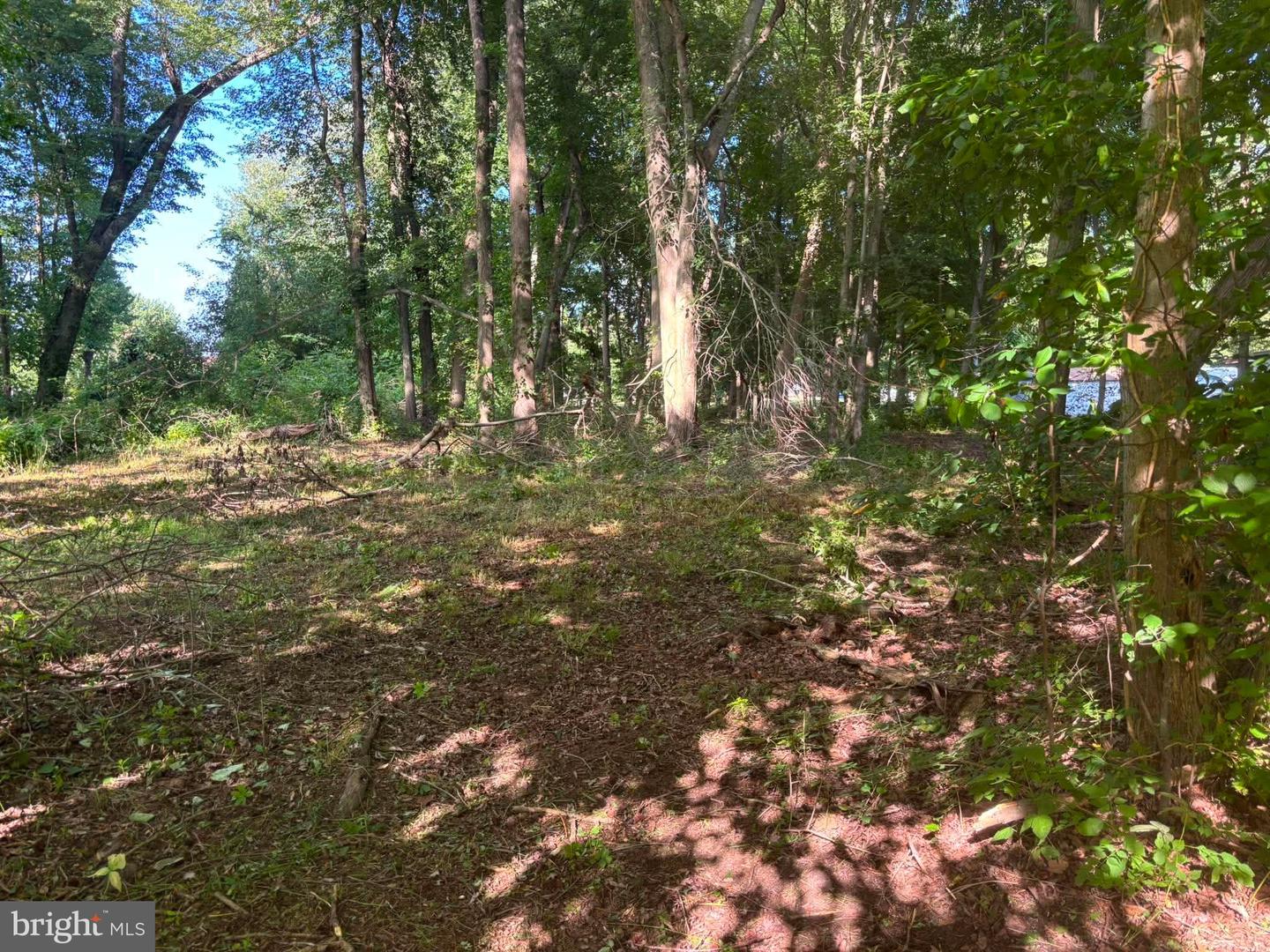 0 Misty Way Property Photo 17