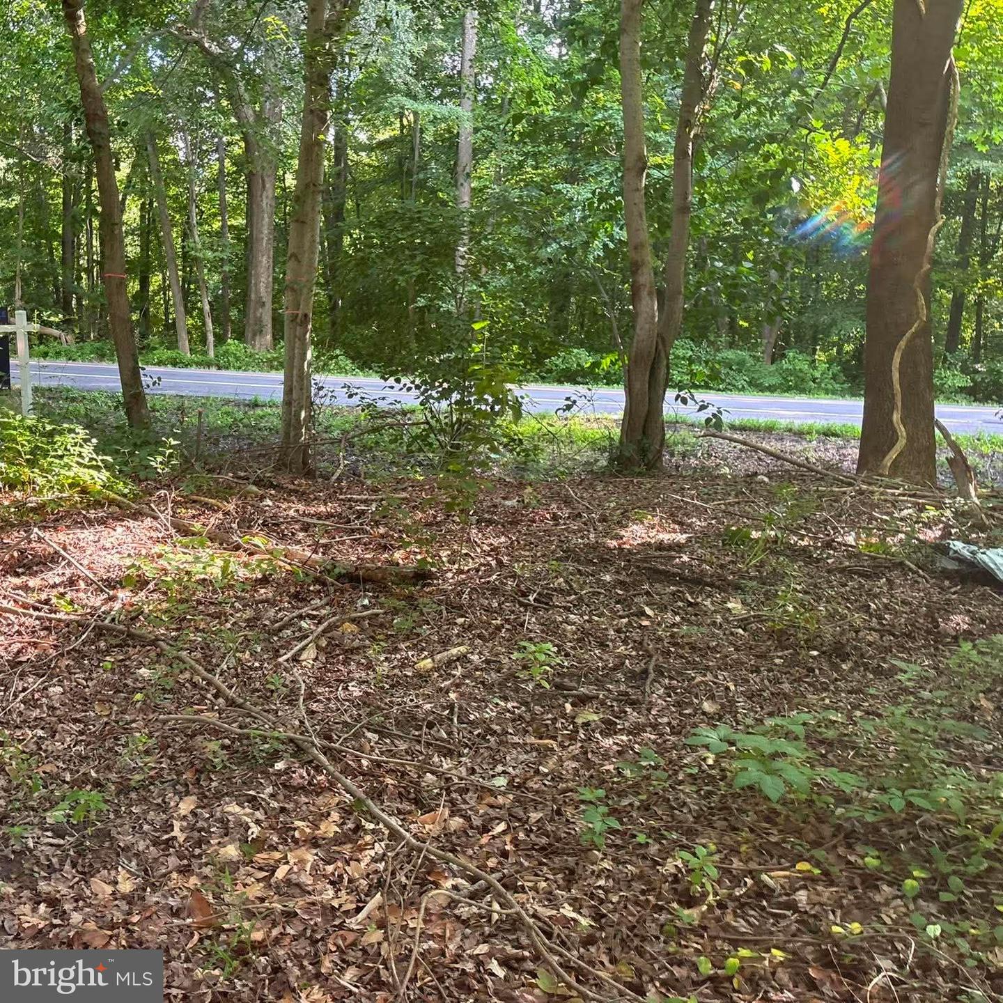 0 Misty Way Property Photo 18