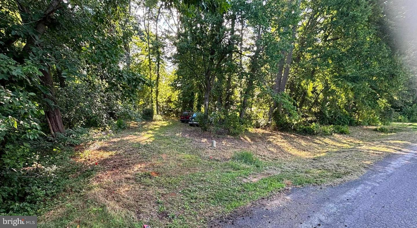 0 Misty Way Property Photo 19