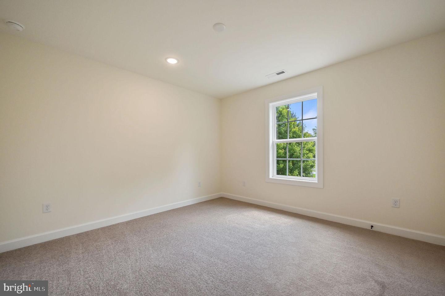 12 Baltray Rd Property Photo 35