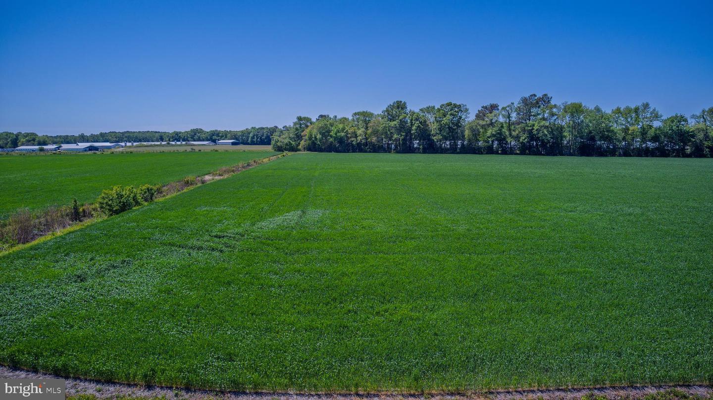 LOT #13 TOWER RD Property Photo 1