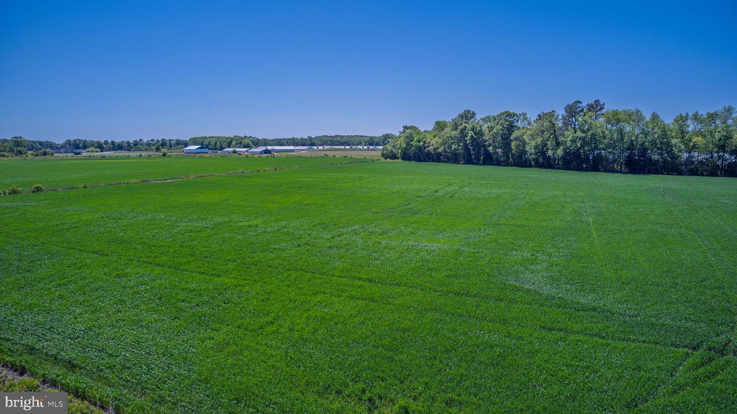 Lot #14 Tower Rd Property Photo 6