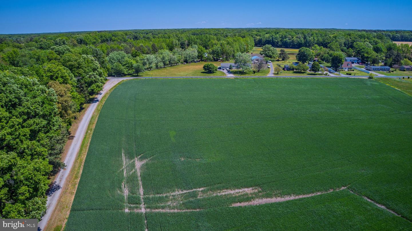 Lot #17 Tower Rd Property Photo 2
