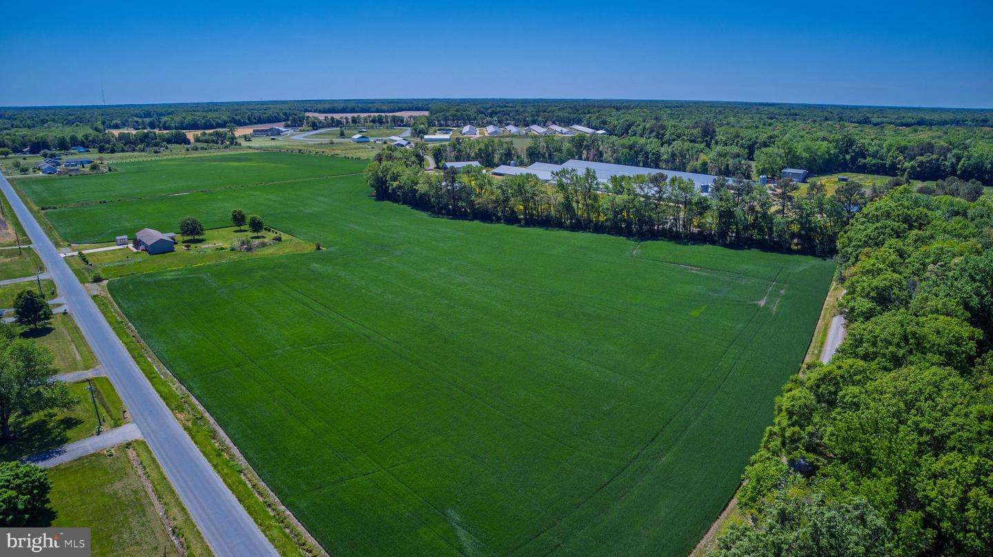 Lot #17 Tower Rd Property Photo 8
