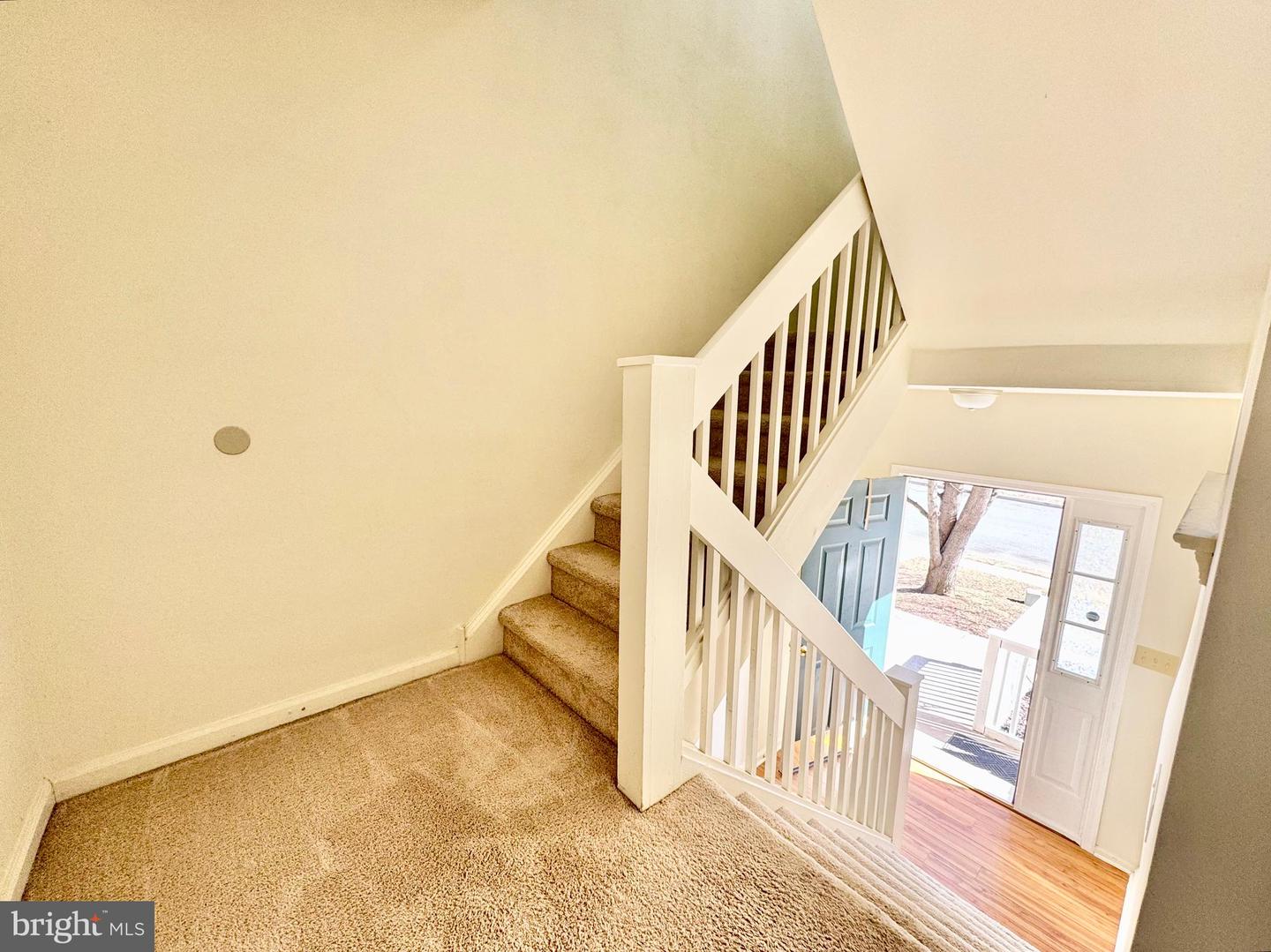 305 Charring Cross Dr Property Photo 12