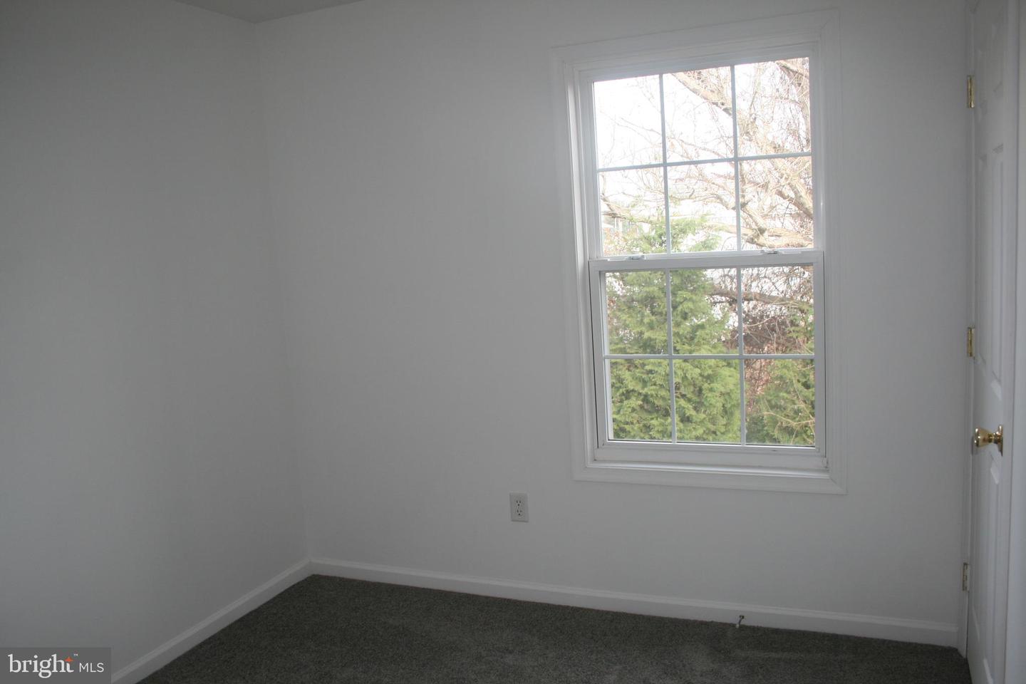 67 Downey Oak Cir Property Photo 10