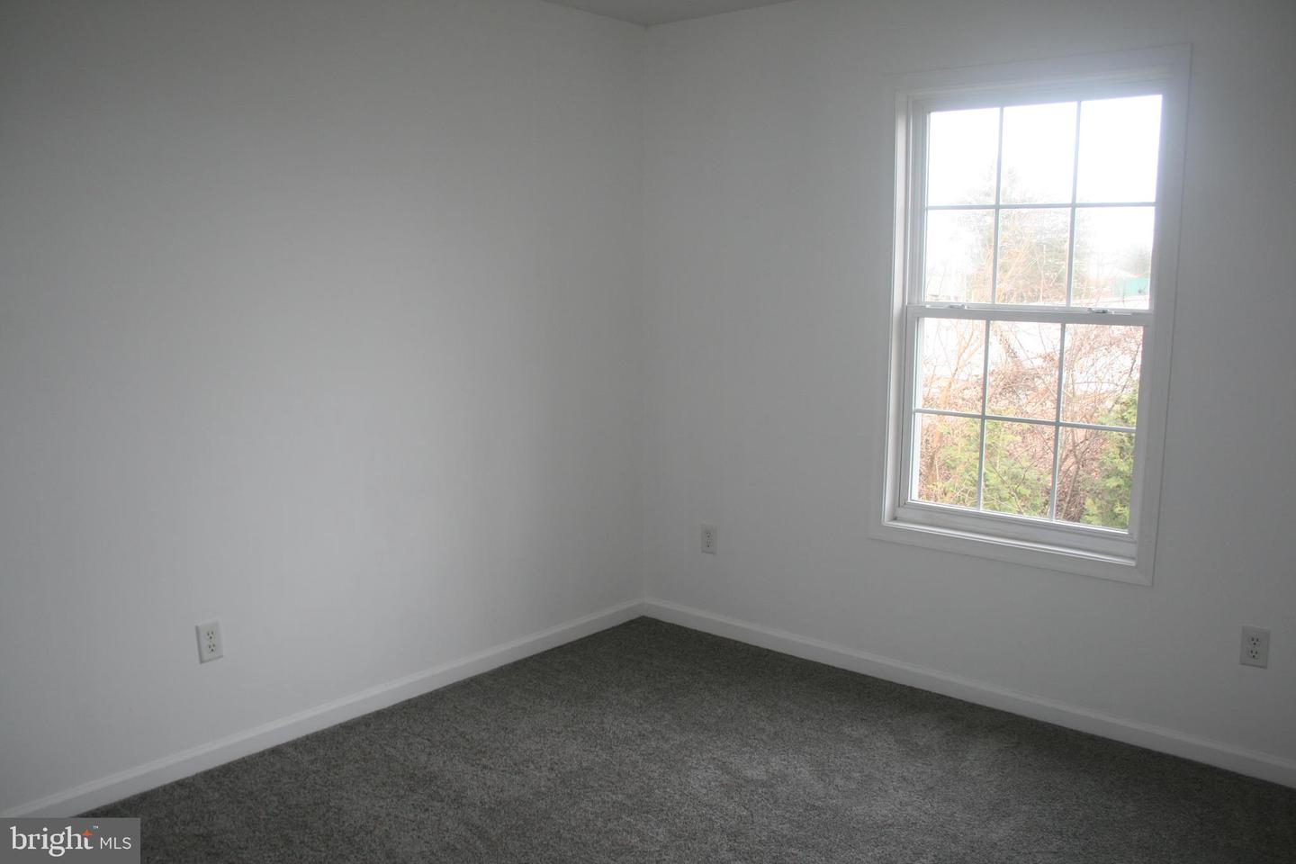 67 Downey Oak Cir Property Photo 11