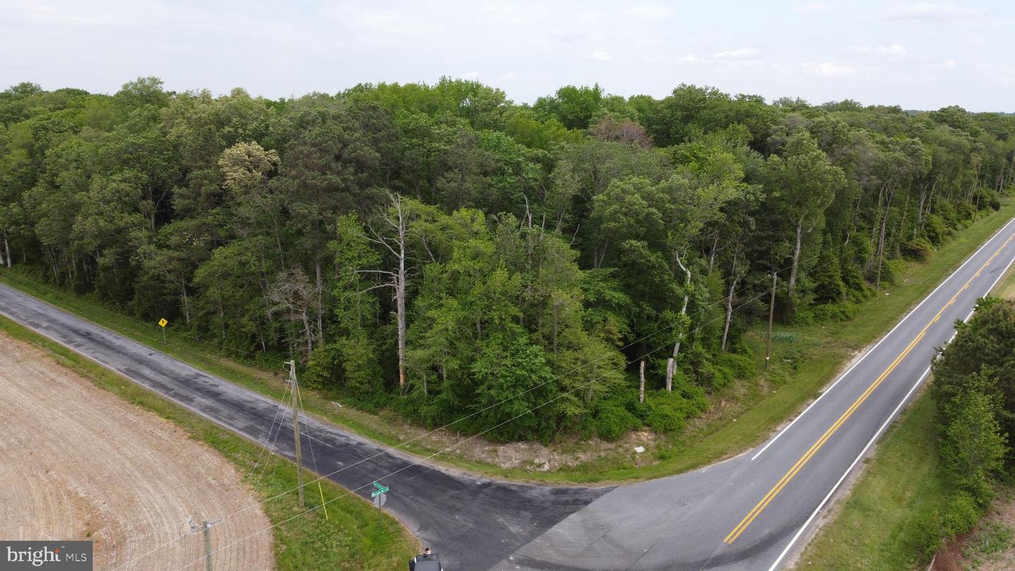 Lot 14 Cedar Grove Church Rd Property Photo 4