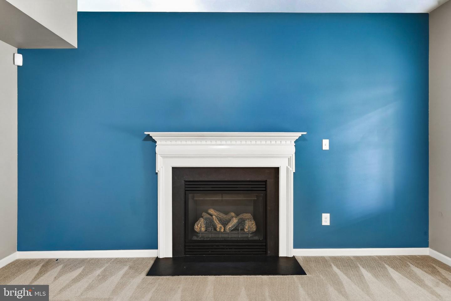 1103 Harvest Grove Trl Property Photo 13