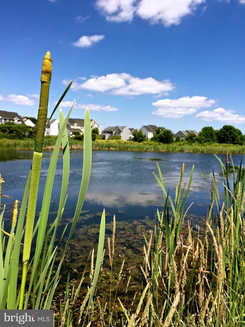 26 N Constitution Dr Property Photo 21