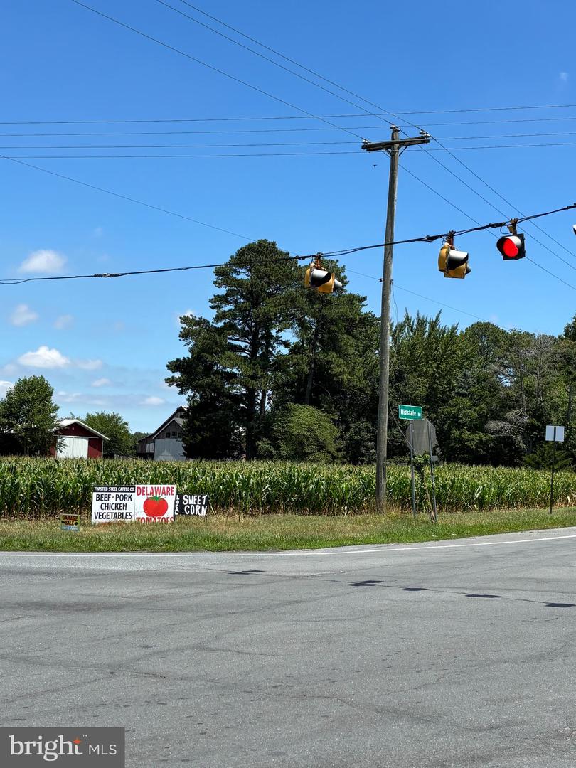 Lot #3 Midstate Property Photo 7