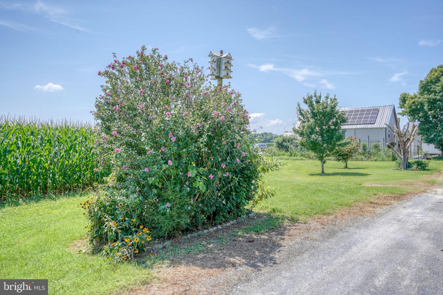 994 Vernon Rd Property Photo 16